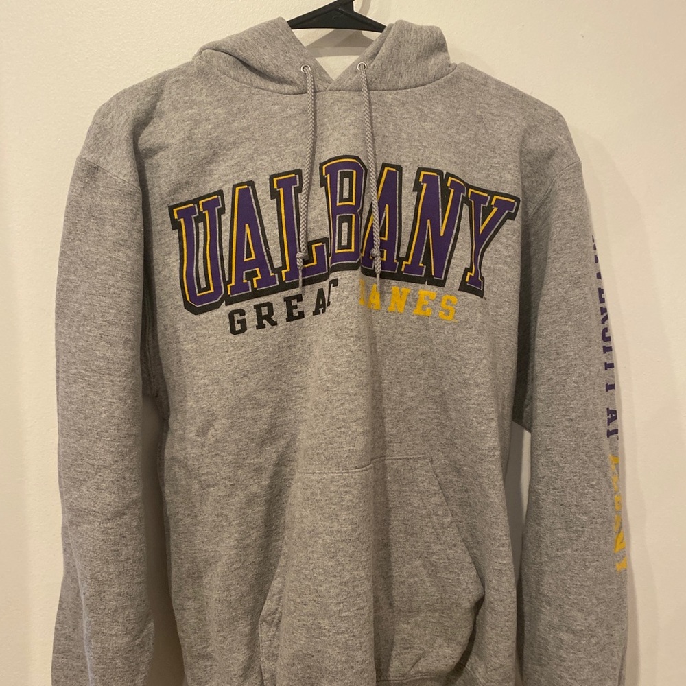 ualbany champion hoodie